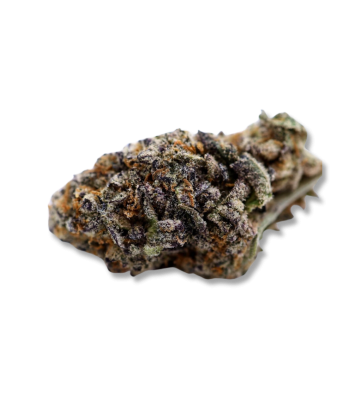 FLEUR THC-P PURPLE HAZE