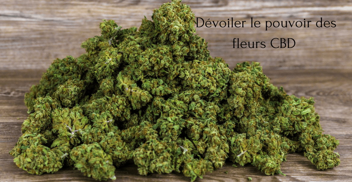 Dévoiler le pouvoir des fleurs CBD 