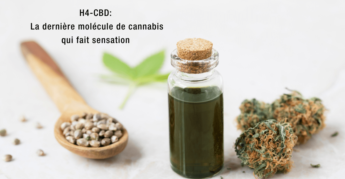 H4-CBD: La dernière molécule de cannabis qui fait sensation dans l'industrie