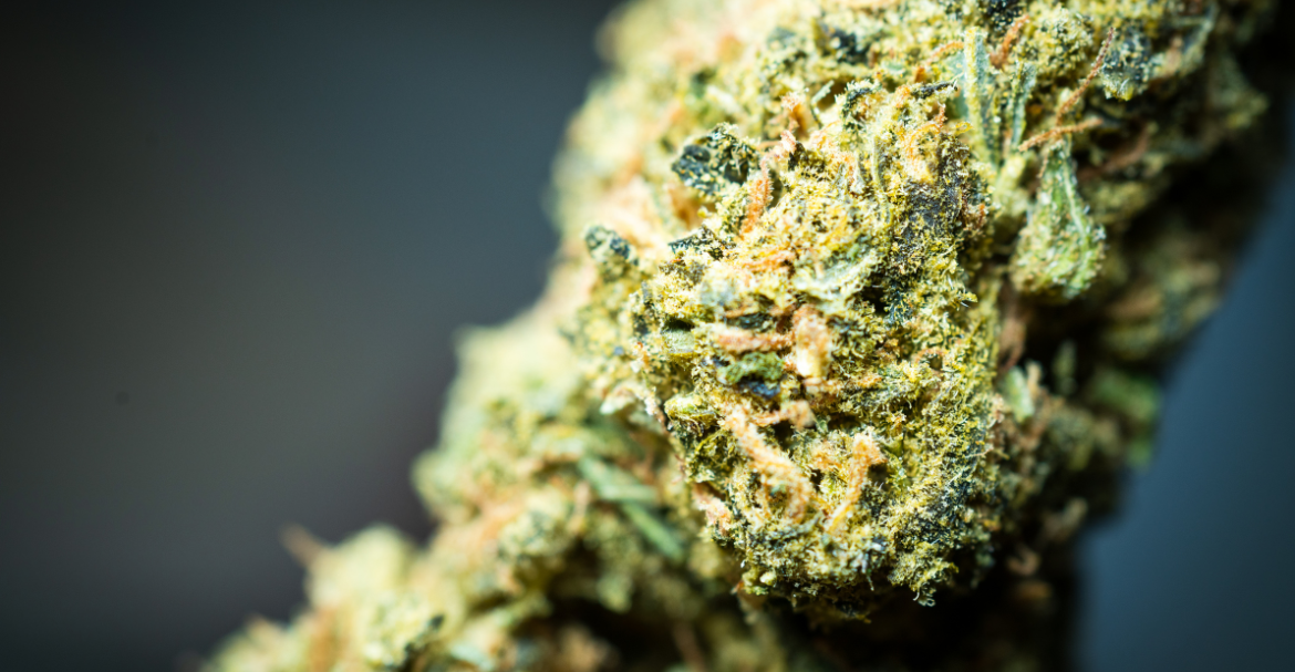 THC-P : le nouveau composé du cannabis qui fait sensation